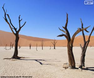 yapboz Deadvlei, Namibya